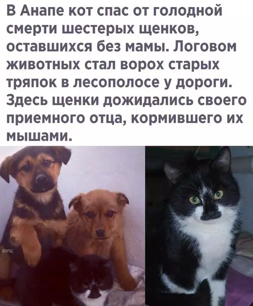 Смешная картинка №251837