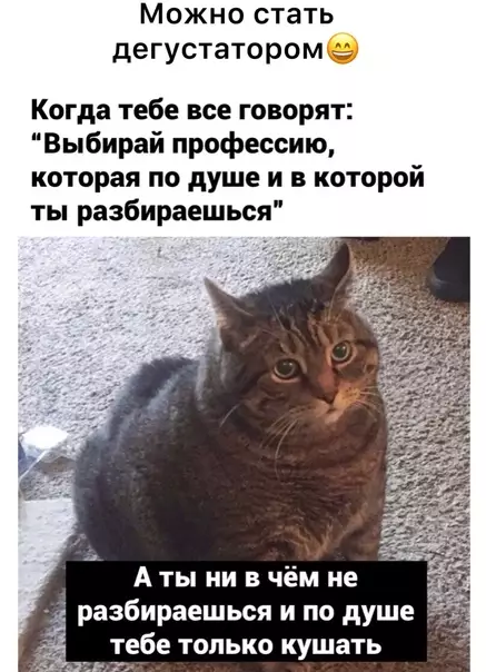Смешная картинка №586412