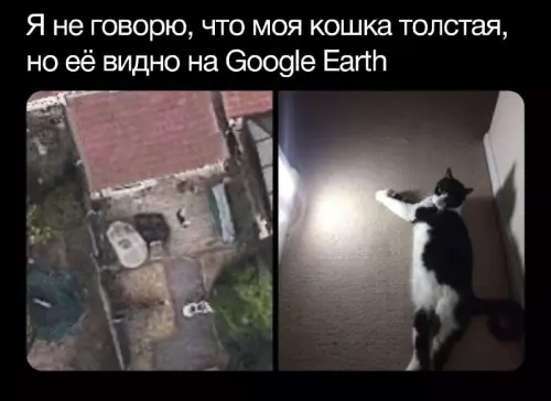 Смешная картинка №662624