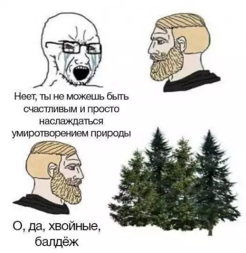 Тот самый запах леса 🌲✨ - Нет, ты не можешь быть счастливым и просто наслаждаться умиротворением