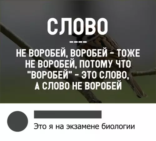 Смешная картинка №308719