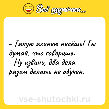 Шутка: - Такую ахинею несёшь! Ты думай, что говоришь.<br>- Ну извини, два дела разом делать не обучен.