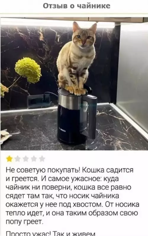 Смешная картинка №772010