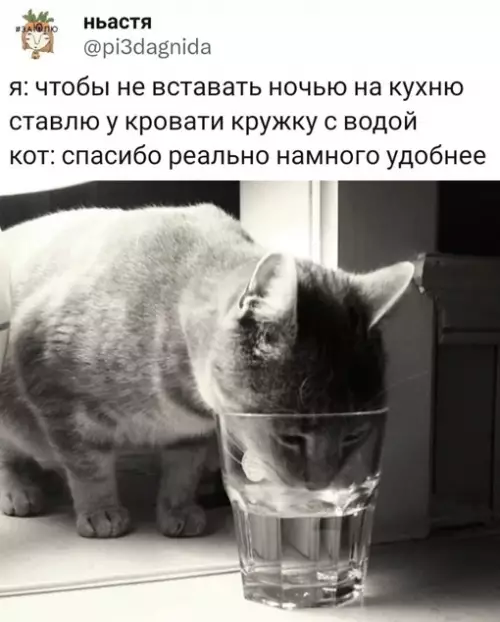 Смешная картинка №684533