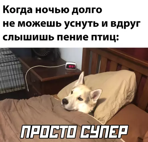 Смешная картинка №629431