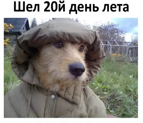 Смешная картинка №283695