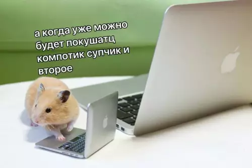 Смешная картинка №773215 Я, спустя 10 минут рабочего дня: