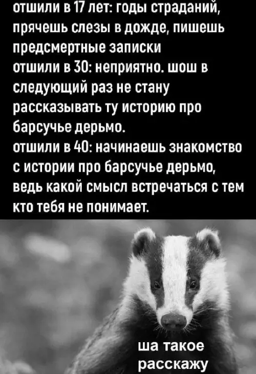 Смешная картинка №727141