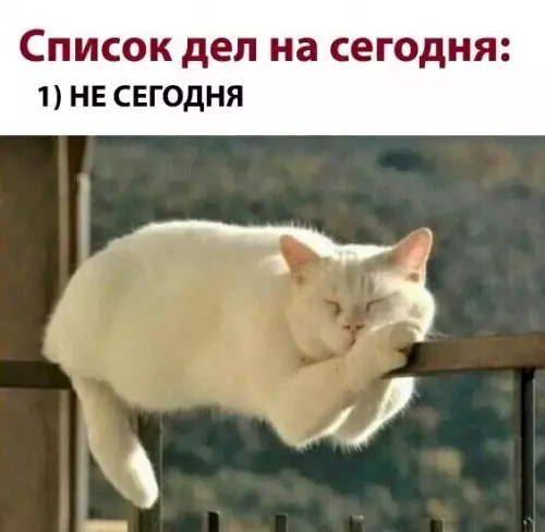 Смешная картинка №779904