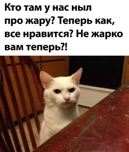 Смешная картинка №596779