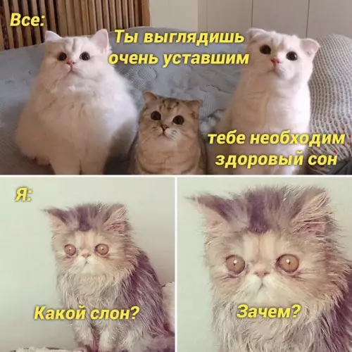 Смешная картинка №666657