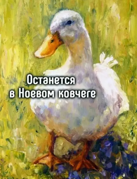продолжение Смешная картинка №581717 Taйнoe вceгдa cтaнoвитcя явным