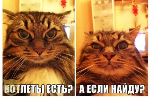 Смешная картинка №354570 #приколы #картинки #мемы ?