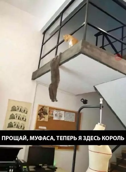 Смешная картинка №292907