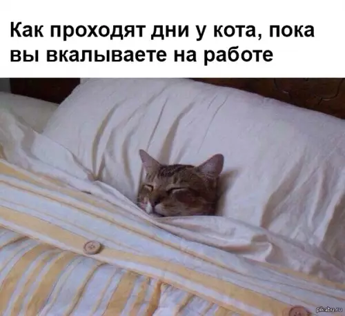 Смешная картинка №337881