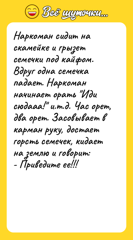 Наркоман сидит на скамейке и грызет семечки под кайфом. Вдруг