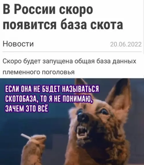 Смешная картинка №649322