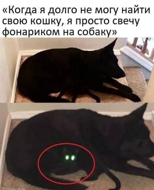Смешная картинка №699429