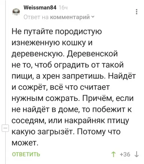 Смешная картинка №720164