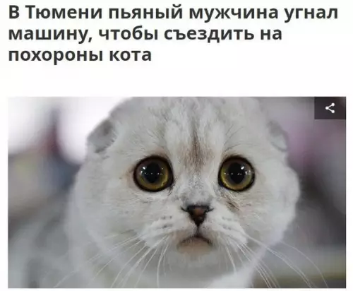 Смешная картинка №265472