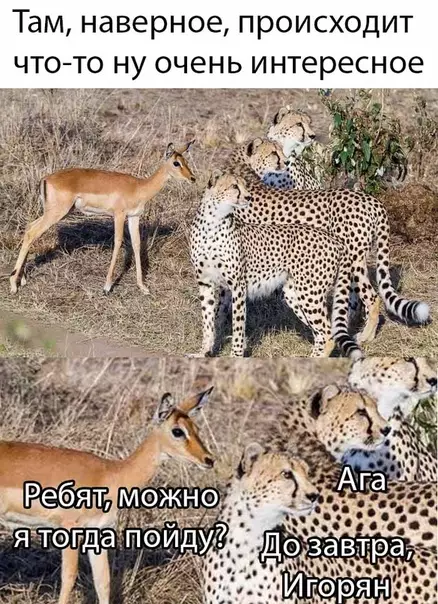 Смешная картинка №494253