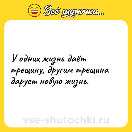 Шутка: У одних жизнь даёт трещину, другим трещина дарует новую жизнь.