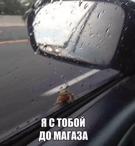 Смешная картинка №306288