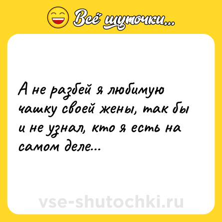 Шутка: А не разбей я любимую чашку своей жены, так бы и не узнал, кто я есть на самом деле…