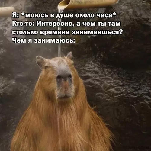 Смешная картинка №667174