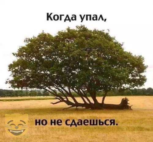 Смешная картинка №381385 #приколы #картинки #мемы ?