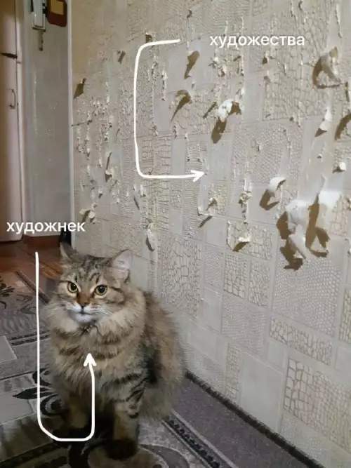 Кот-художник