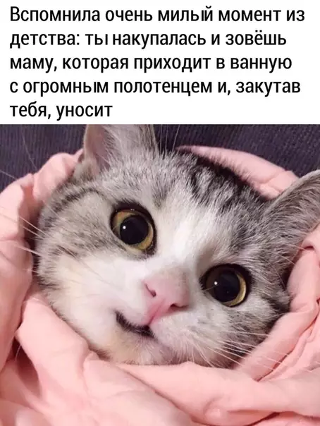Смешная картинка №494017