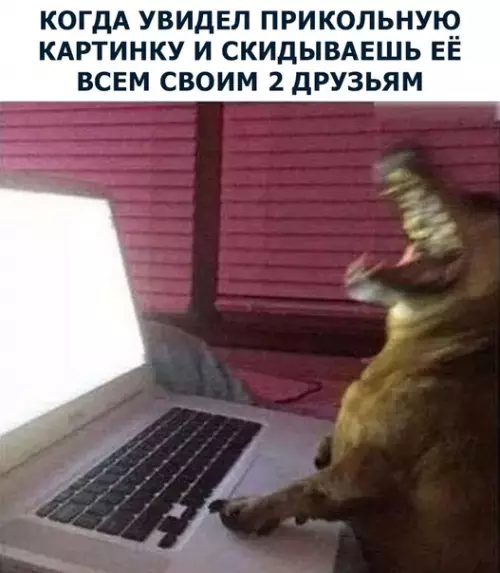 Смешная картинка №284120