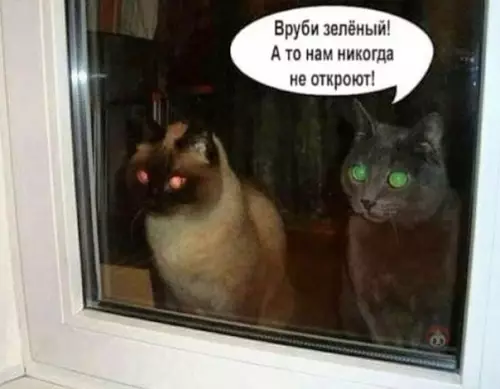 Смешная картинка №552486 Почему так смешно?)