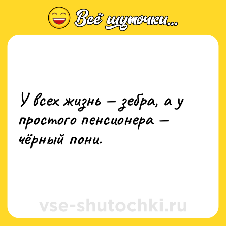 Шутка: У всех жизнь — зебра, а у простого пенсионера — чёрный пони.