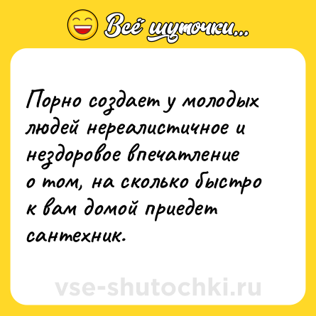 Шутка: Порно создает у молодых людей нереалистичное и нездоровое впечатление о том, на сколько быстро к вам домой приедет сантехник.