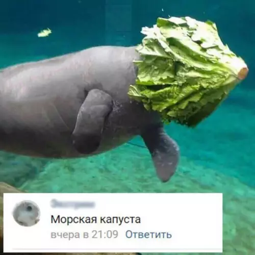 Смешная картинка №305925
