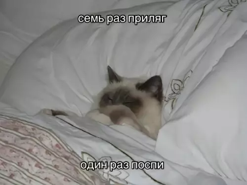 Смешная картинка №743669