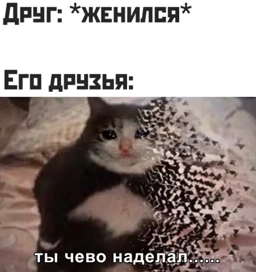 Смешная картинка №468763