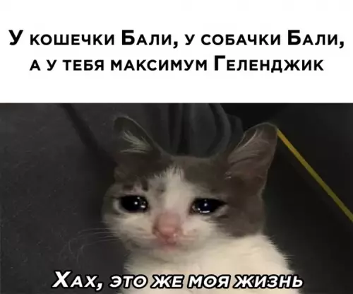 Смешная картинка №575692