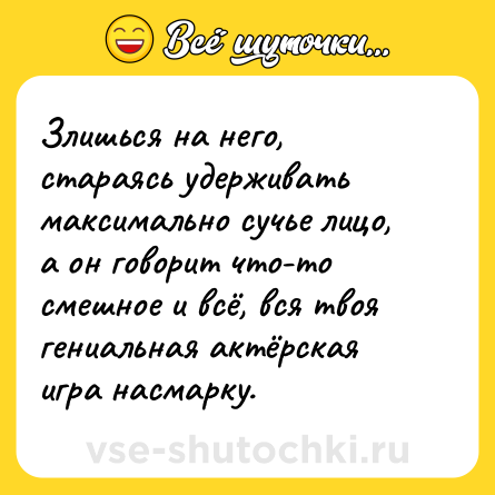 Шутка: Злишься на него, стараясь удерживать максимально сучье лицо, а он говорит что-то смешное и всё, вся твоя гениальная актёрская игра насмарку.