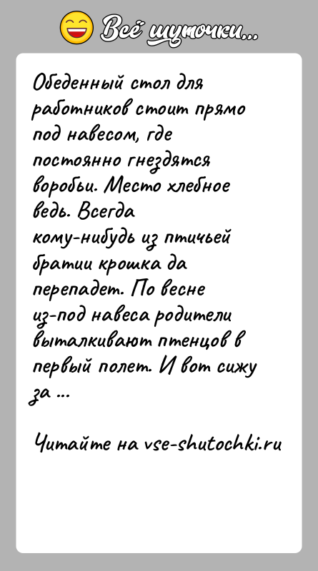 История: Обеденный стол для работников стоит прямо под навесом, где постоянно гнездятся воробьи. Место хлебное ведь. Всегда кому-нибудь из птичьей братии