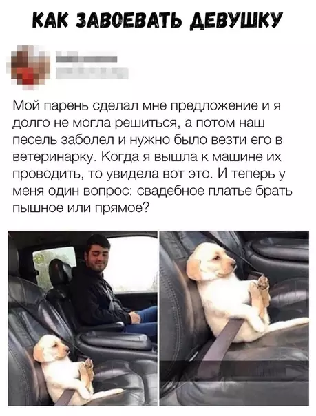 Смешная картинка №329066