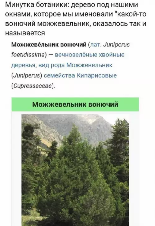 Смешная картинка №681752