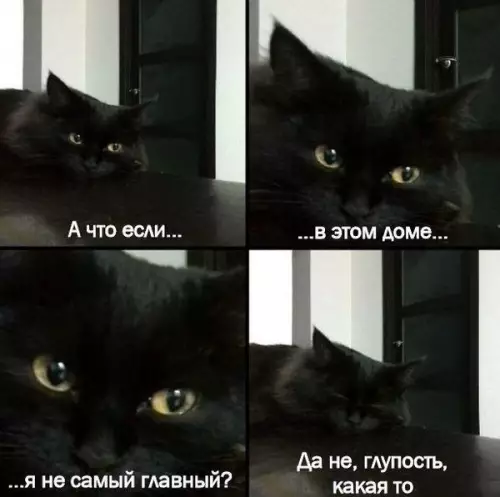 Смешная картинка №207897