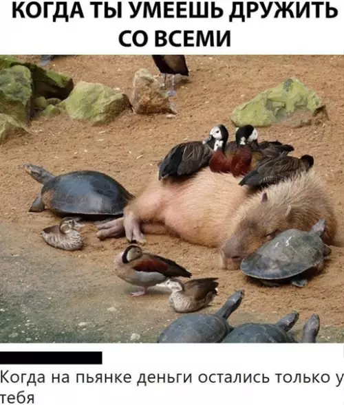 Смешная картинка №560866