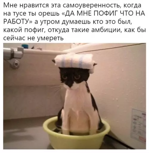 Смешная картинка №377314