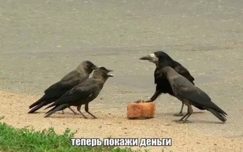 Смешная картинка №361815 #приколы #картинки #мемы ?
