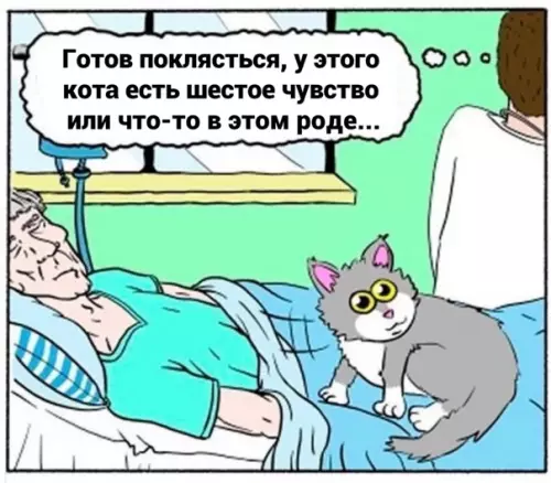 продолжение Смешная картинка №564637 Шecтoe чyвcтвo