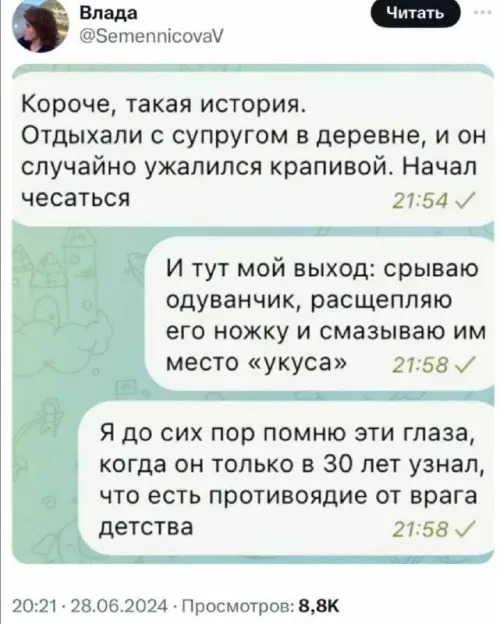 Магия одуванчиков или как разбудить мужа 🌼🤣 - Короче, такая история. Отдыхали с супругом в деревне, и он